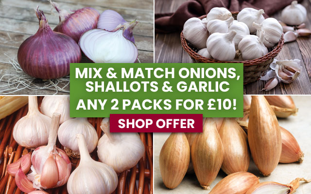 Mix & Match Onions, Shallots & Garlic ANY 2 for £10