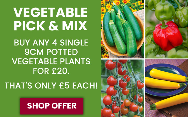 Vegetable Pick & Mix Offer