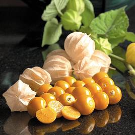 Cape Gooseberry (Organic) - Seeds