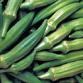 Okra Clemsons Spineless (Organic) - Seeds