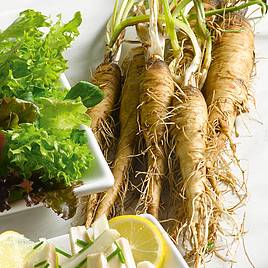 Salsify Mammoth - Organic Seeds