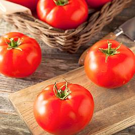 Tomato Legend (Determinate) - Organic Seeds