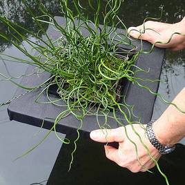 Floating Aquatic Planting Basket