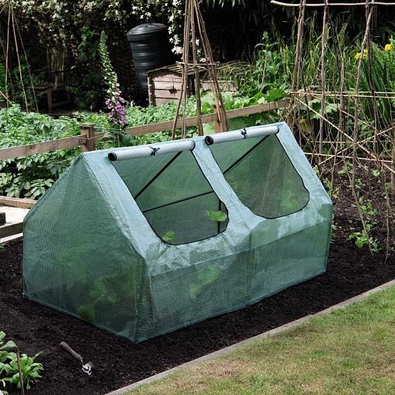 Garden Grow Garden Cloche