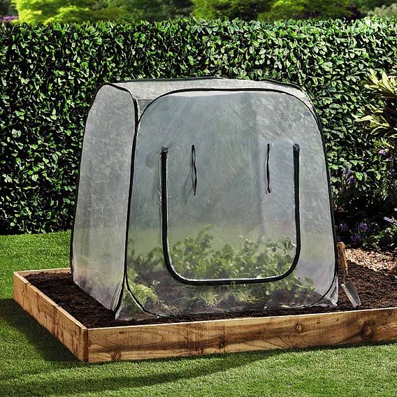 Garden Grow Pop-Up Cloche