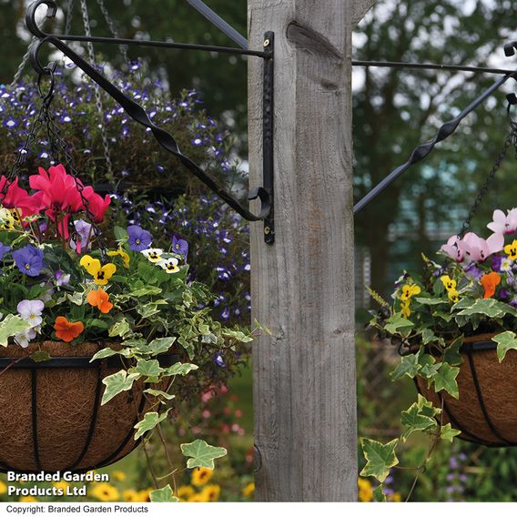 Garden Grow Hanging Basket & Liner