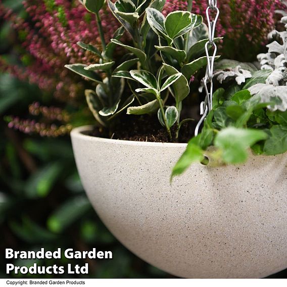 Medium Stone Effect Hanging Basket