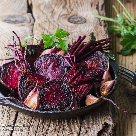 Beetroot 'Detroit 2 Bolivar' (Organic) - Seeds