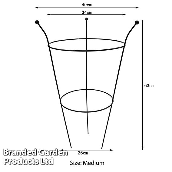 Peony & Herbaceous Plant Frame