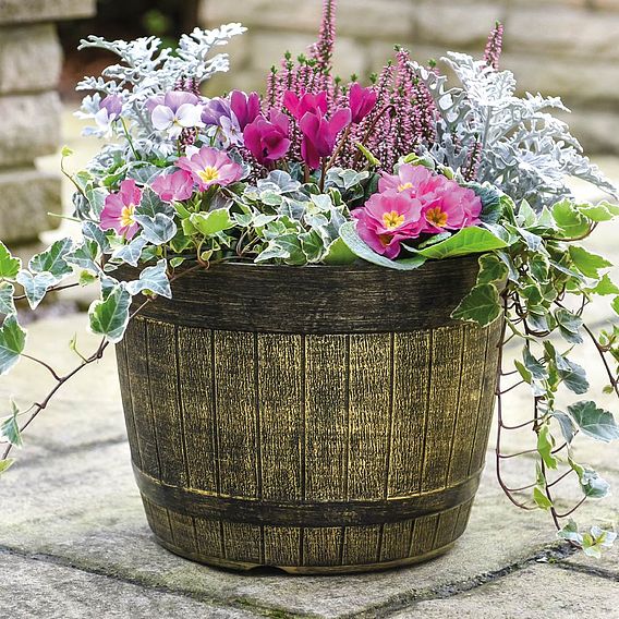 Whisky Barrel Planter