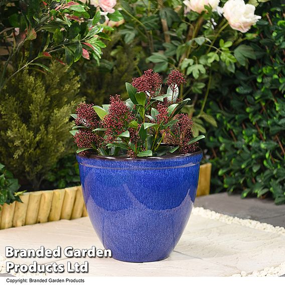 Bell Glazed Planter