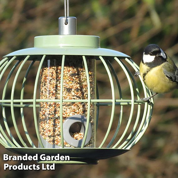 The Nuttery Squirrel-Proof Lantern Seed Feeder Celadon Green