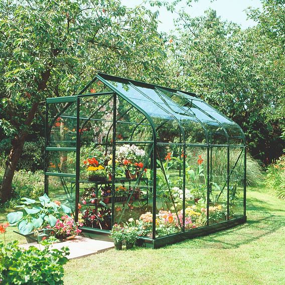 Supreme Forest Green Tough Glass Greenhouse