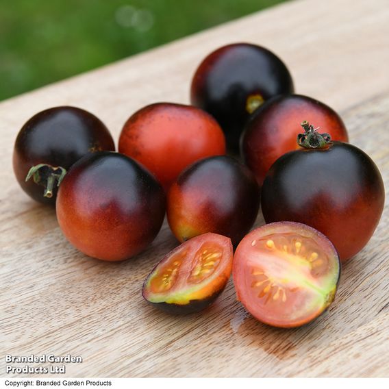 Tomato 'Akoya'