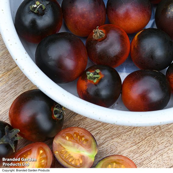 Tomato 'Akoya'