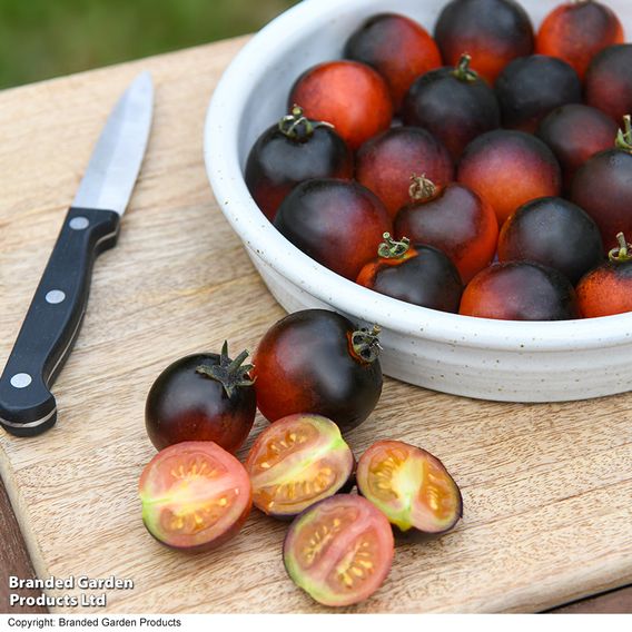 Tomato 'Akoya'