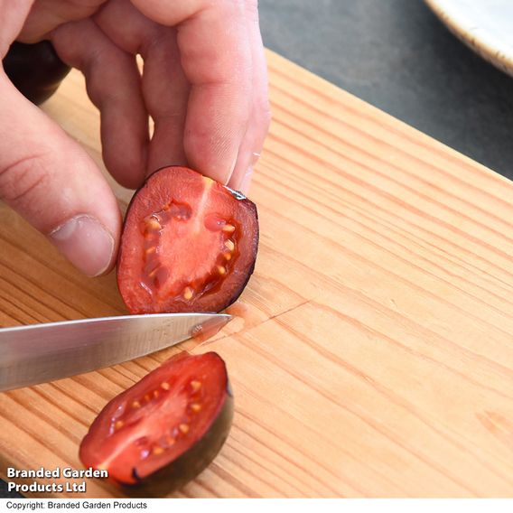 Tomato 'Nightshade'