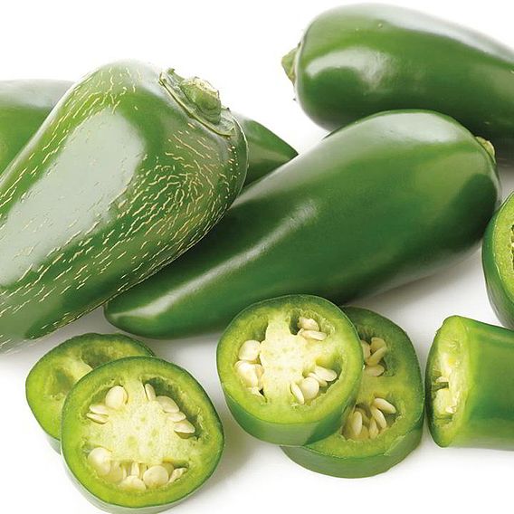 Chilli Pepper 'Jalapeno' - Seeds